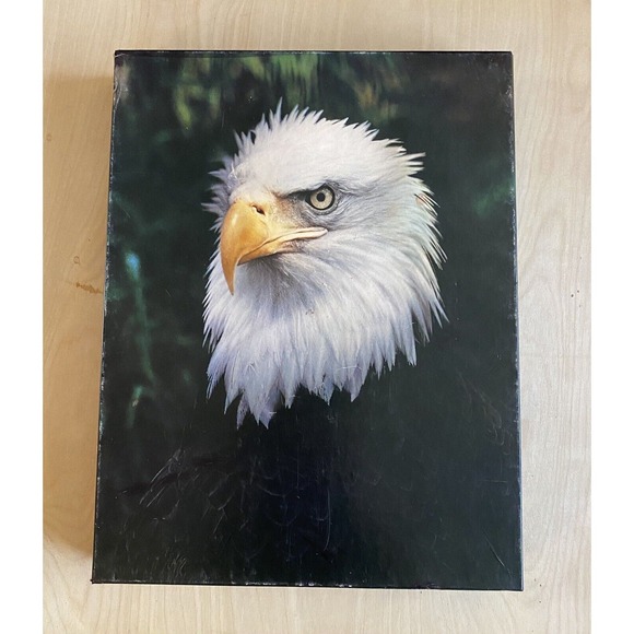 Vintage Springbok Puzzle American Pride Eagle 500 Piece Complete - Picture 1 of 5